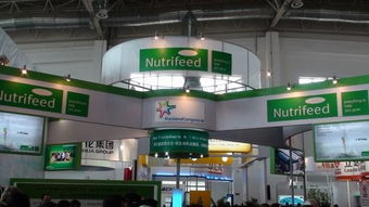 嘉诺展览集团 以全链会展服务助推中国企业扬帆海外